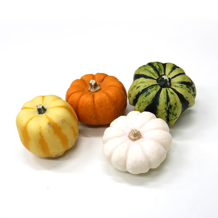 Amazon.co.jp: ハロウィン 片桐農園 おもちゃかぼちゃ ミニ4個